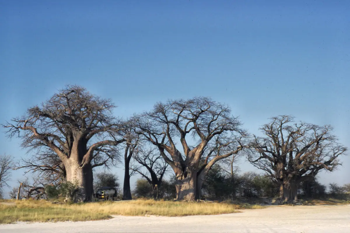 Botswana