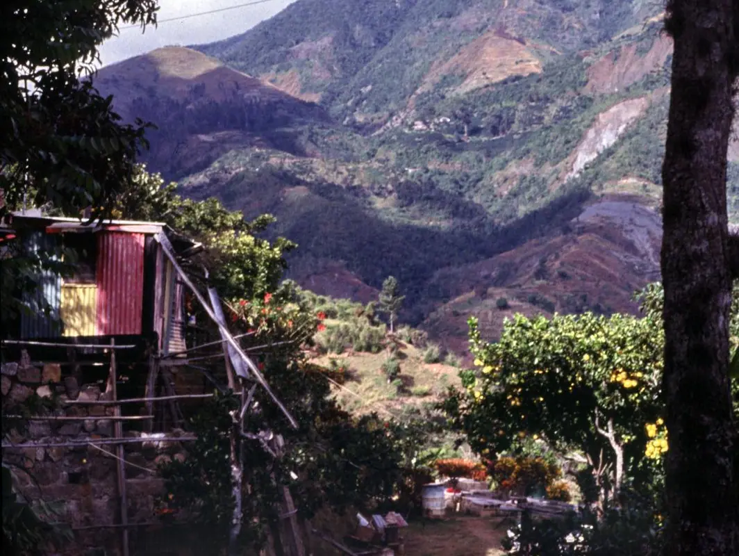 Jamaica
