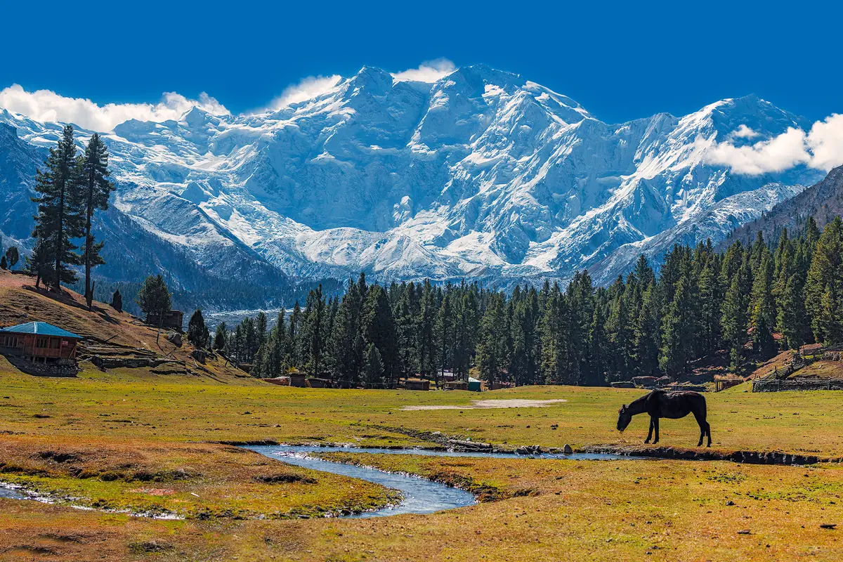 Pakistan