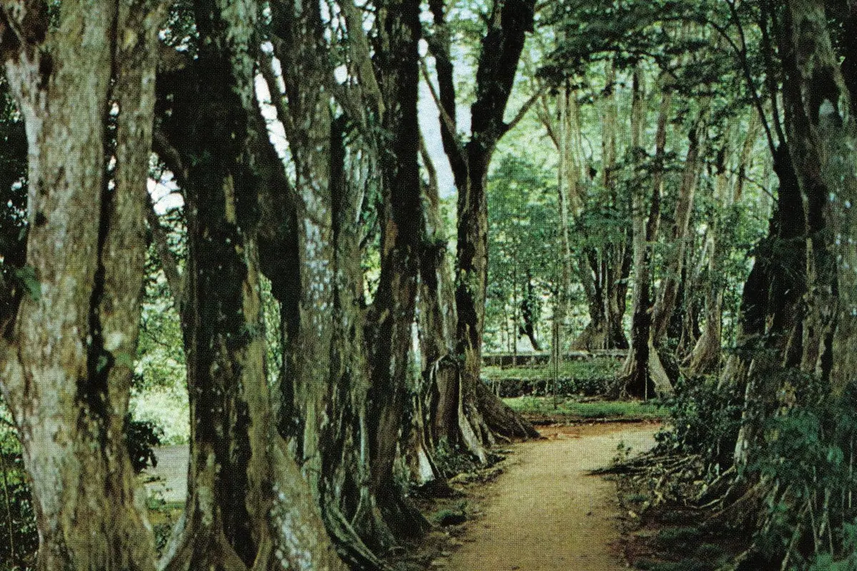 Seychelles