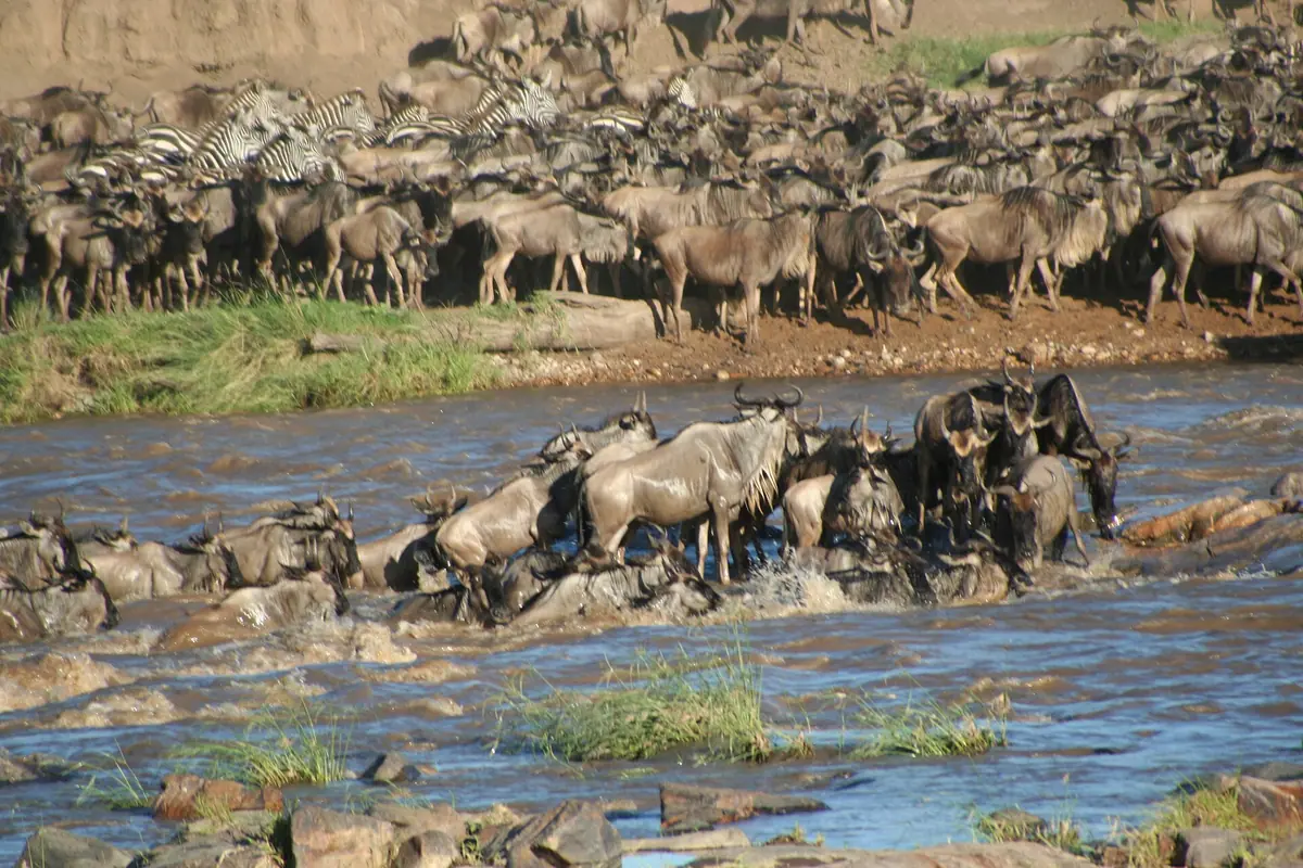 Tanzania