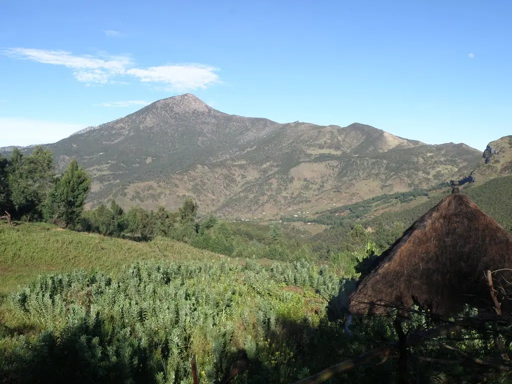 Timor-Leste