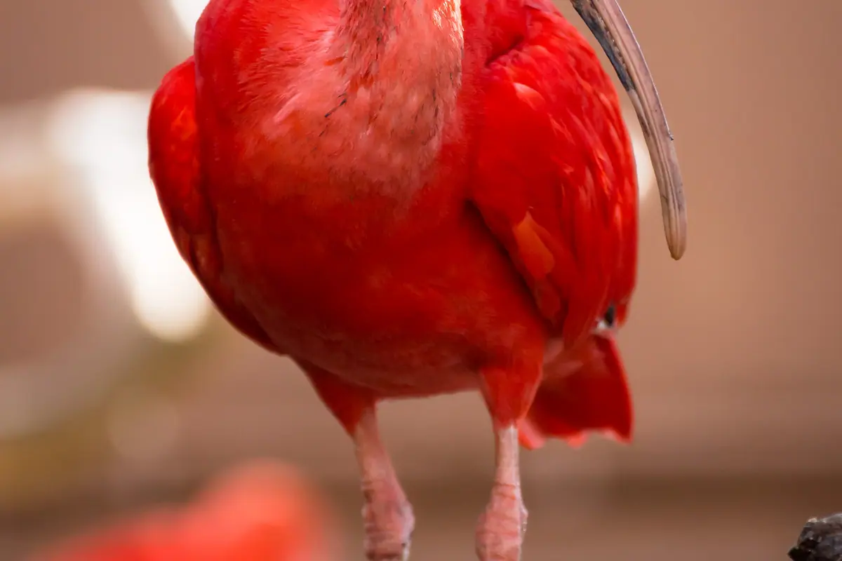 Trinidad and Tobago