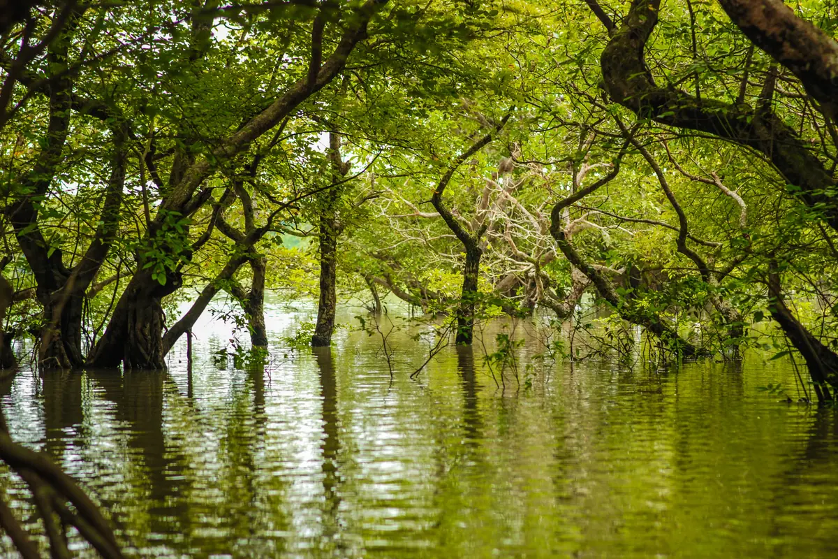 Bangladesh