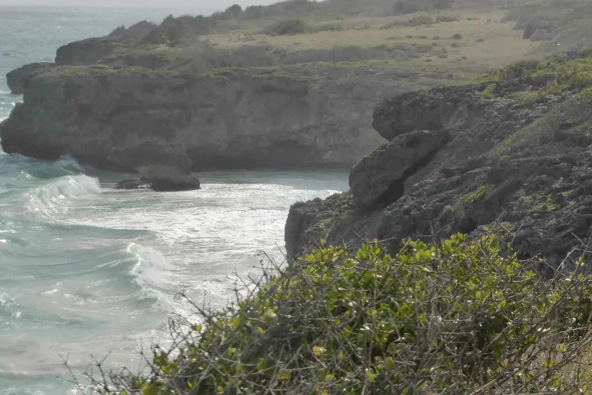 Barbados