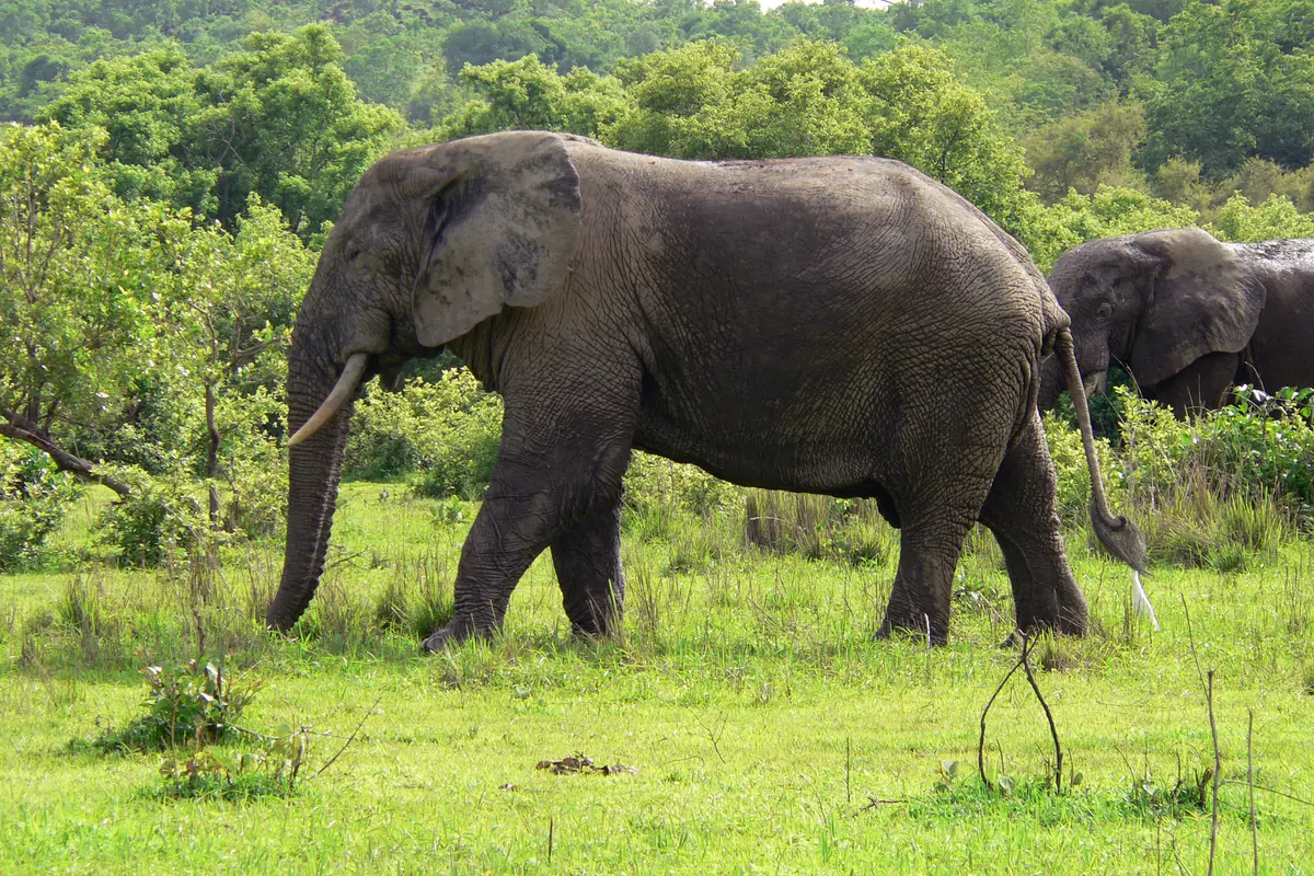 Ghana