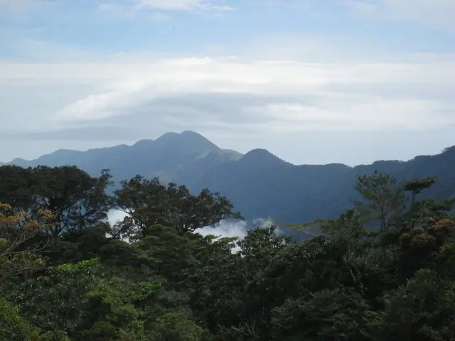 Guinea