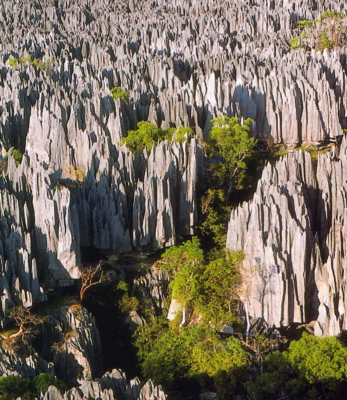 Madagascar