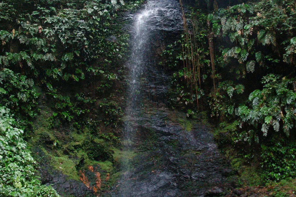 Suriname