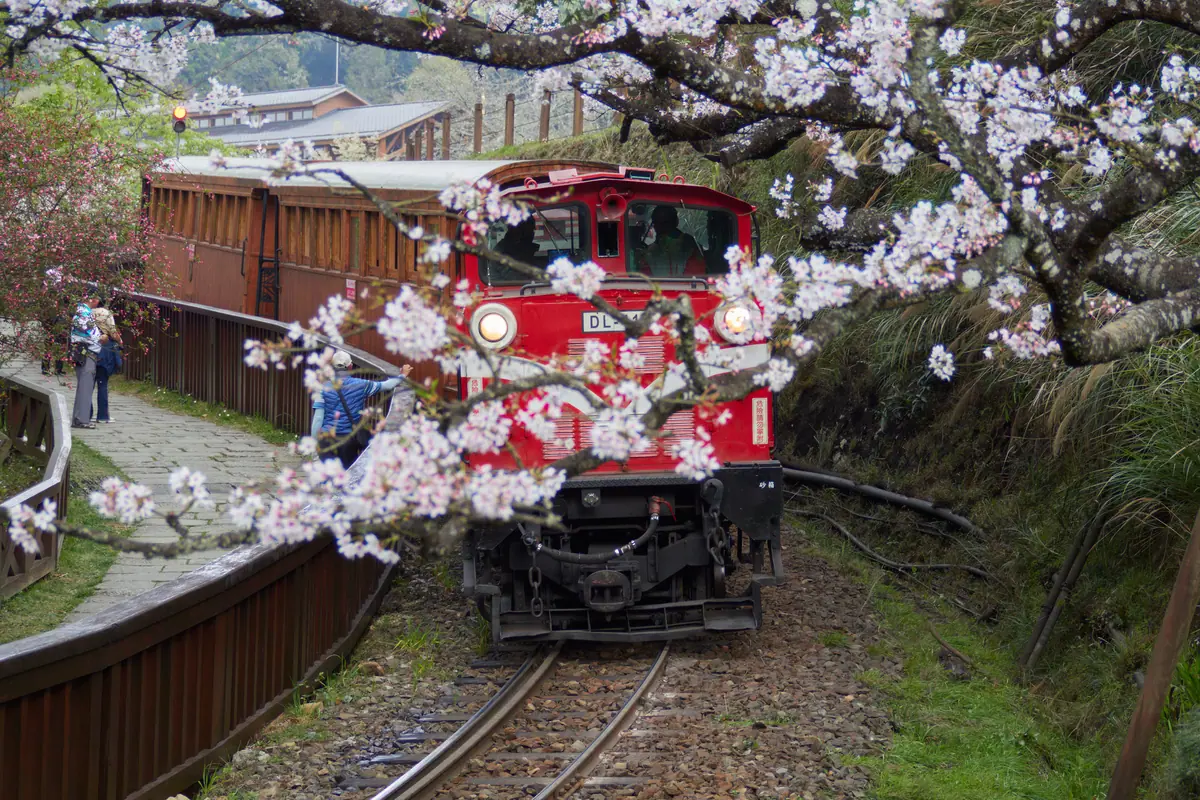 Taiwan