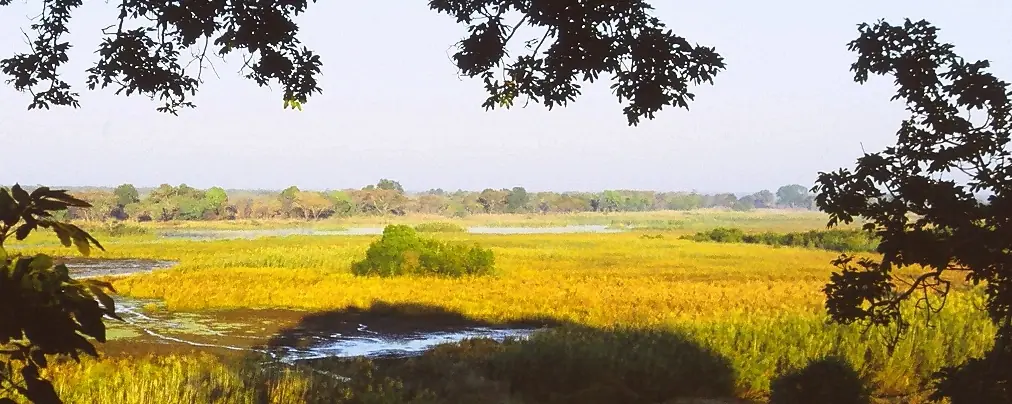 Zambia