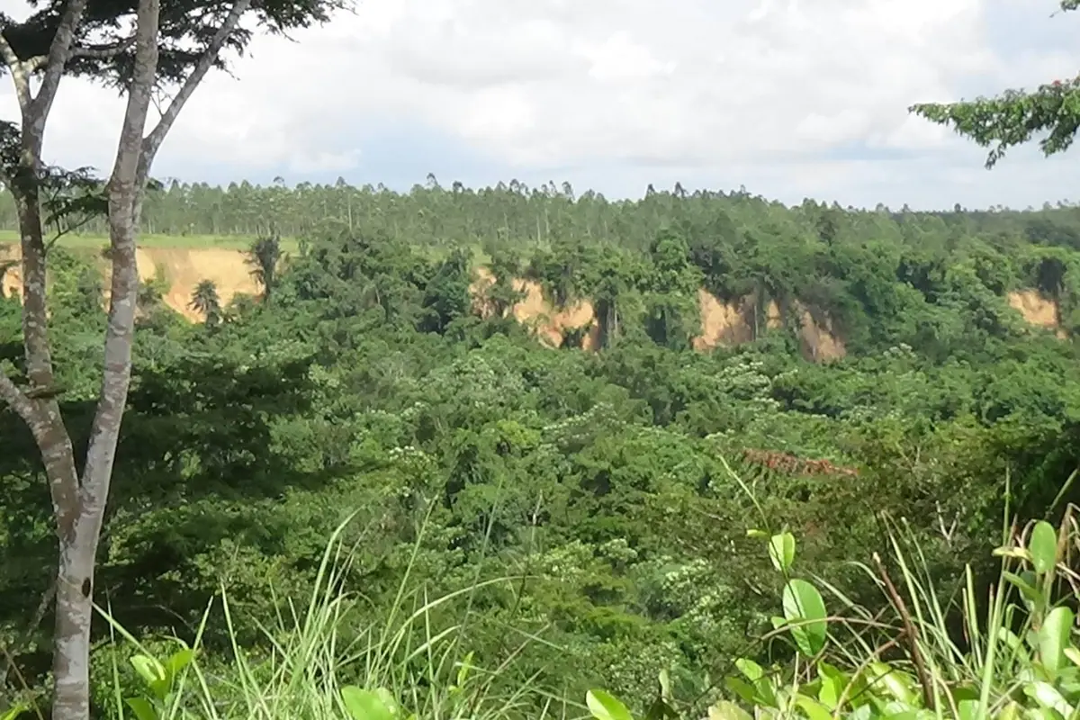 Congo