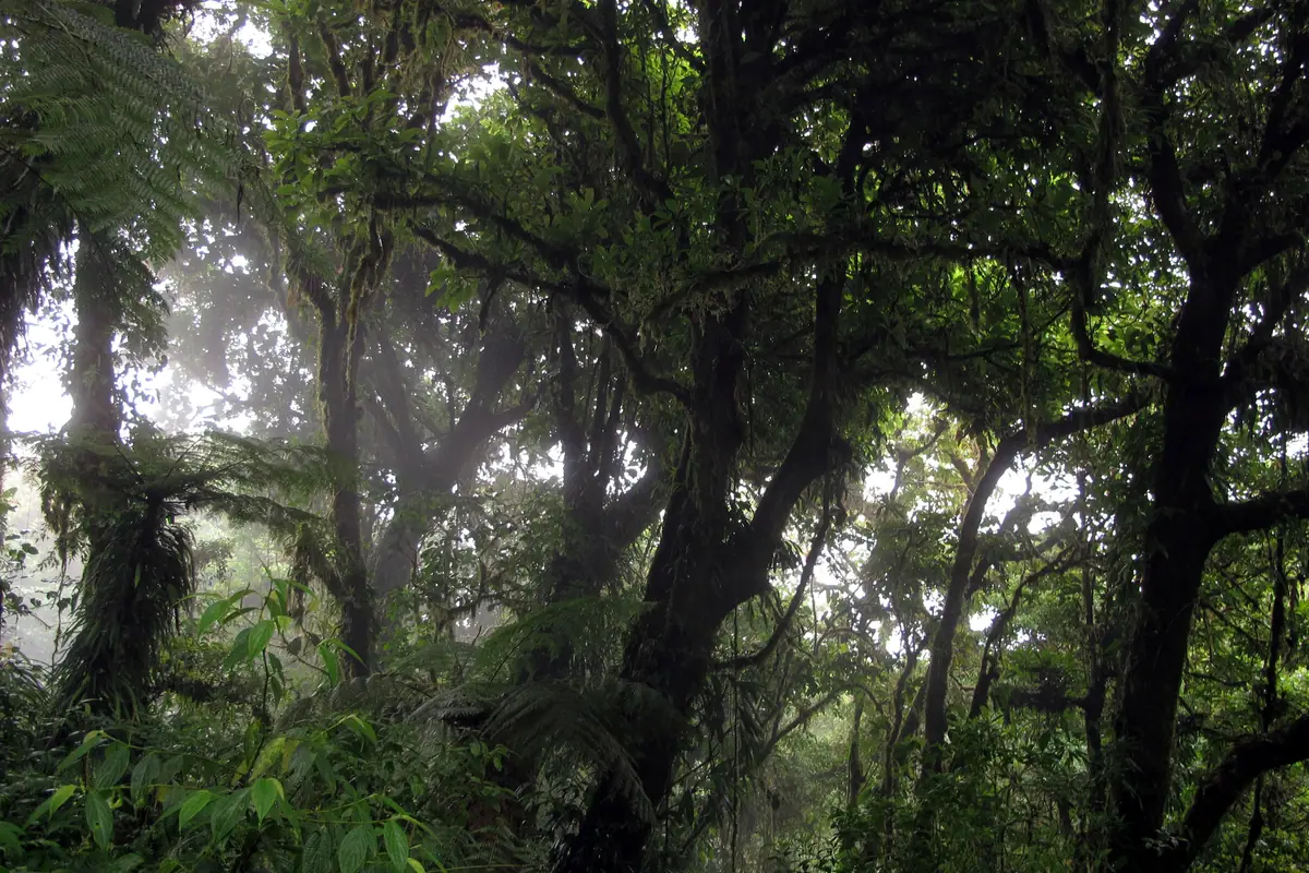 Costa Rica