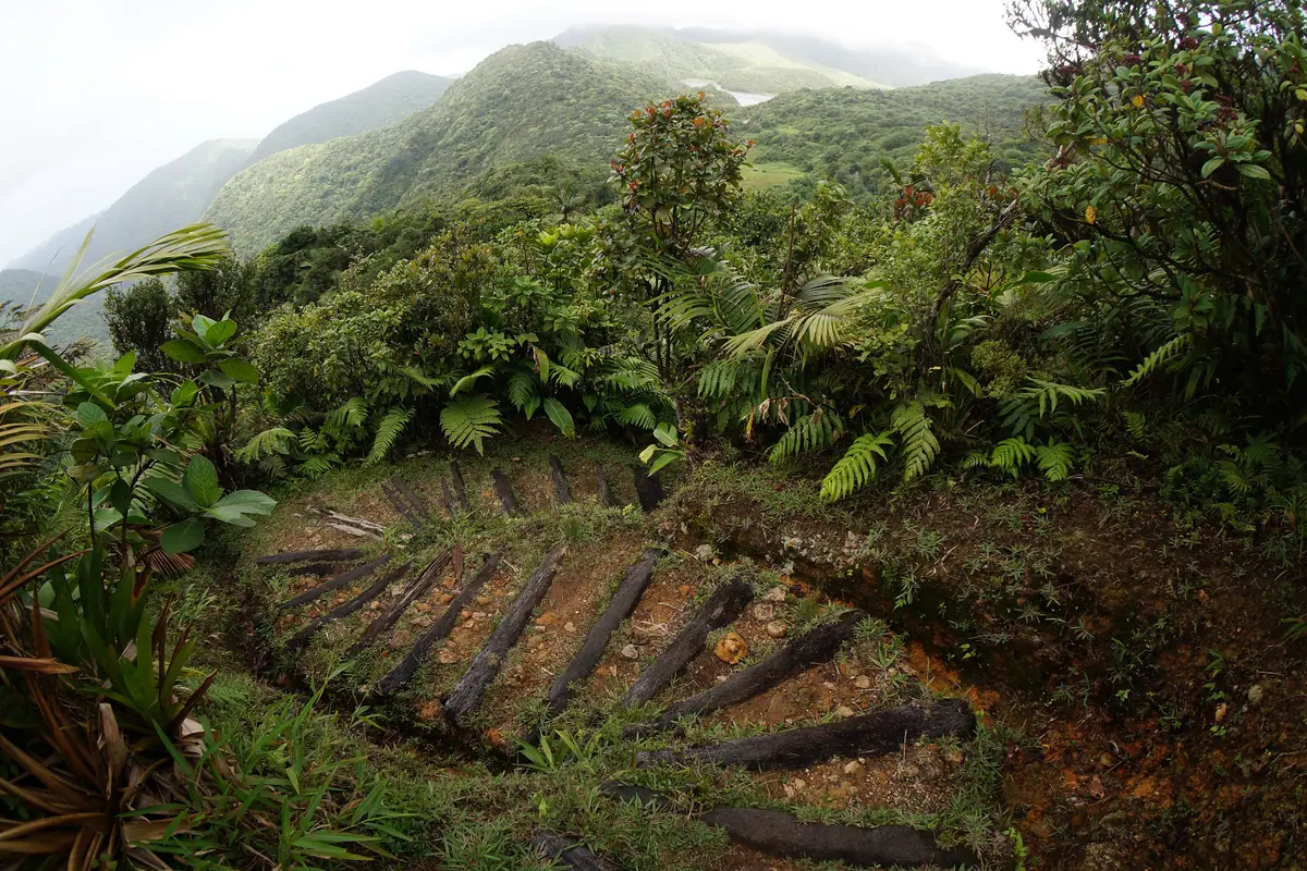 Dominica