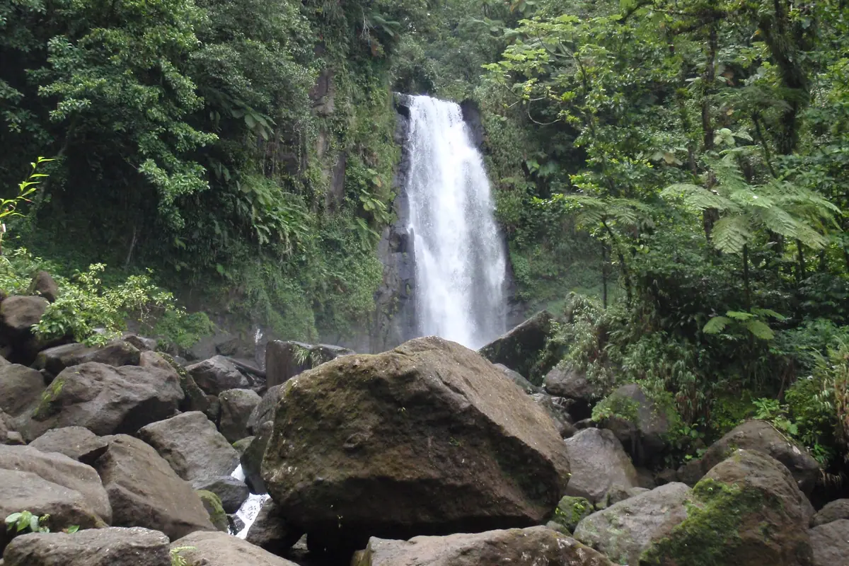 Dominica