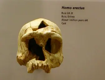 Eritrea
