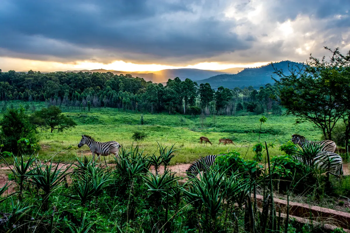 Eswatini