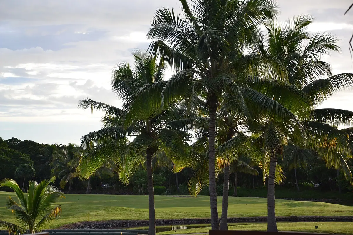 Fiji