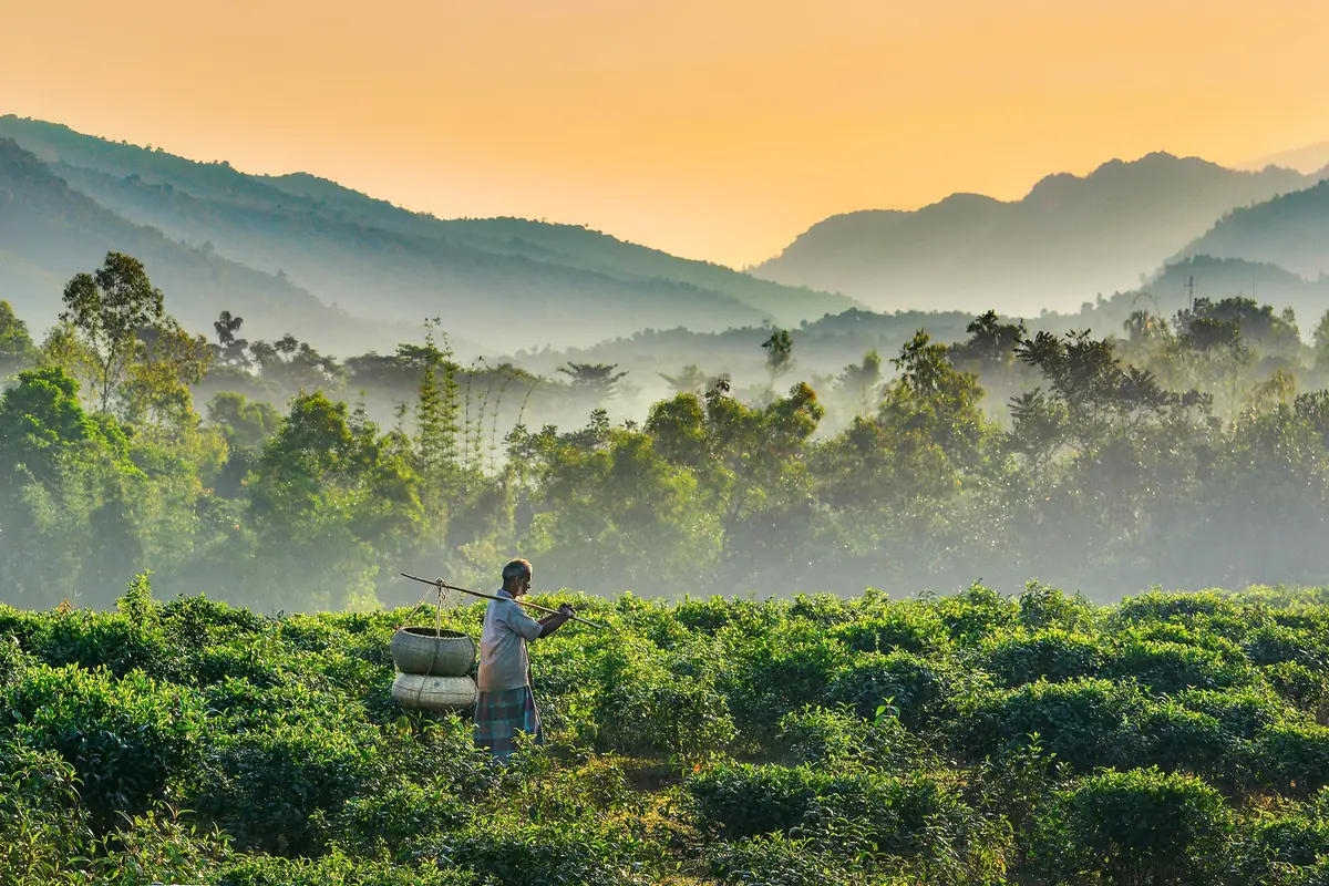 Bangladesh