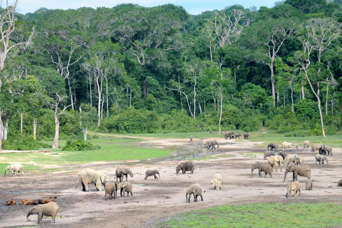 Central African Republic