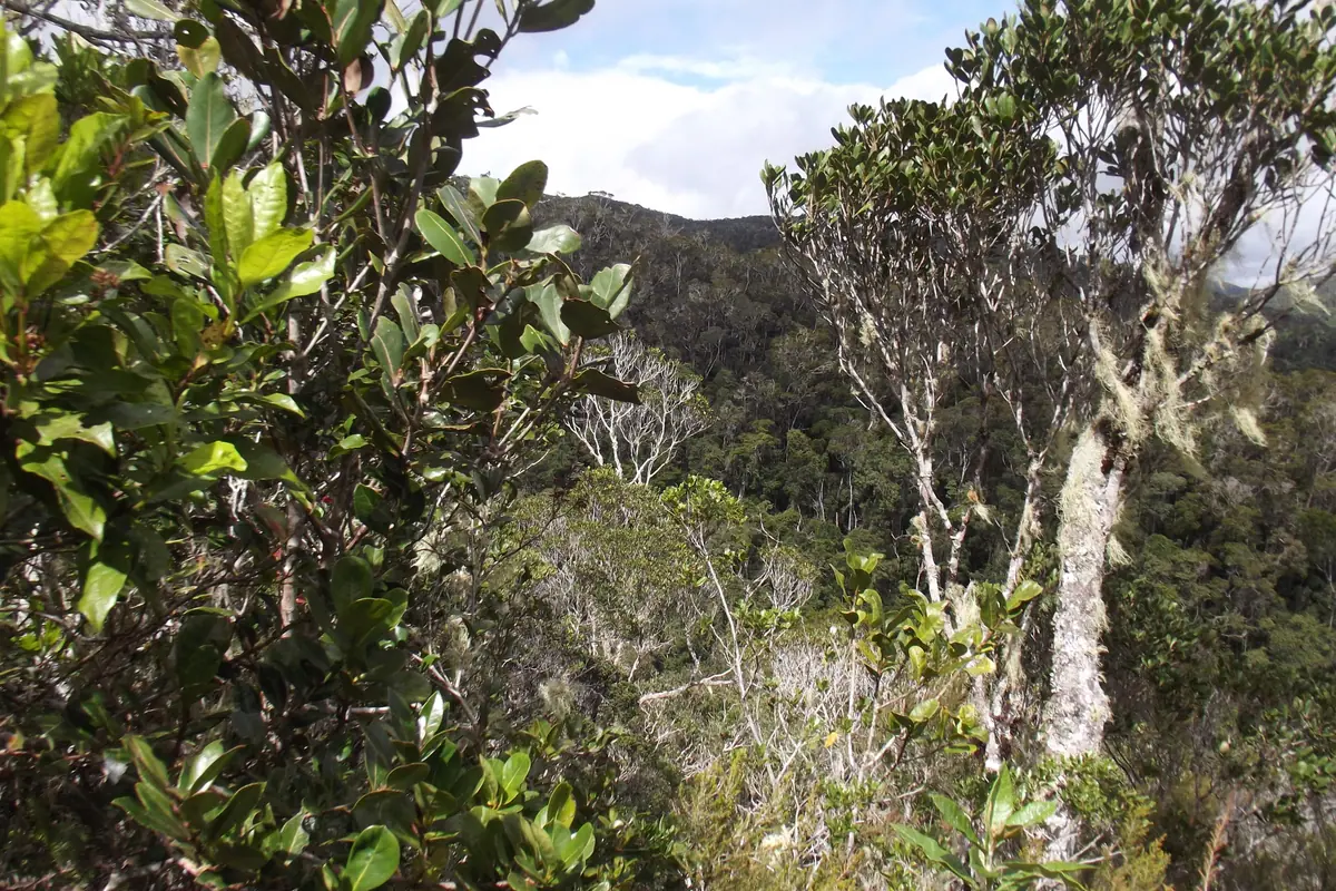 Madagascar