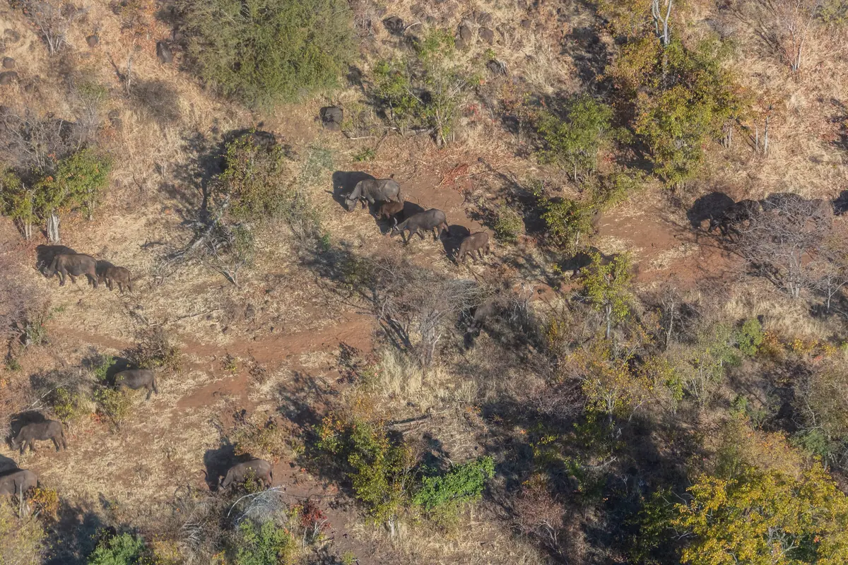 Zimbabwe