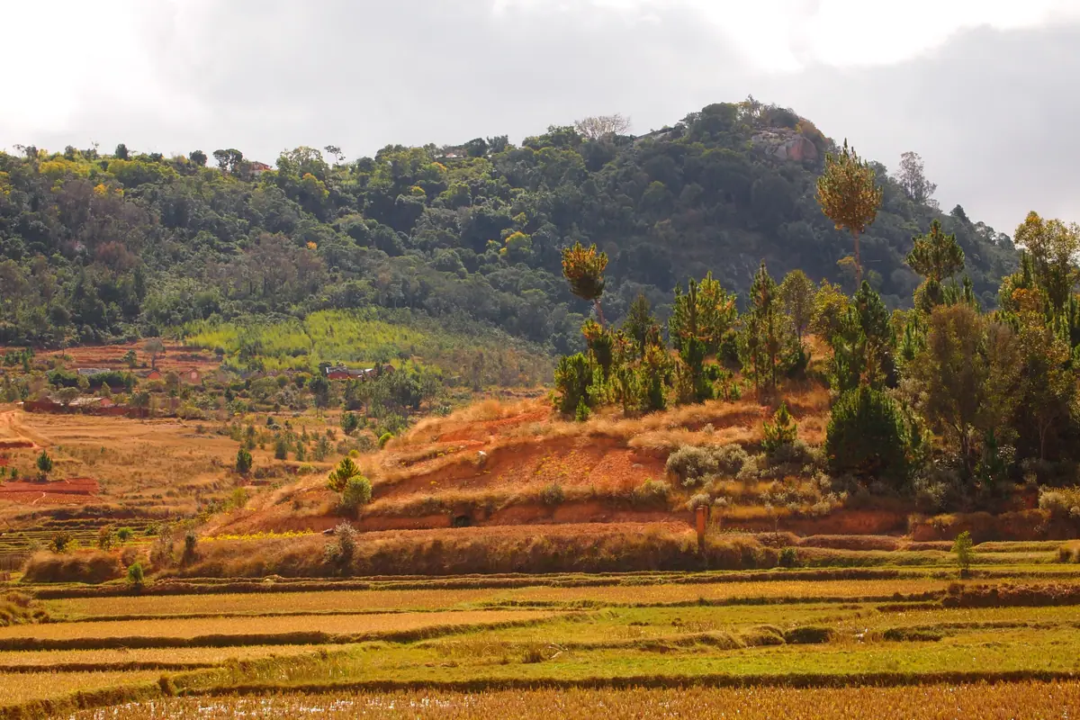 Madagascar