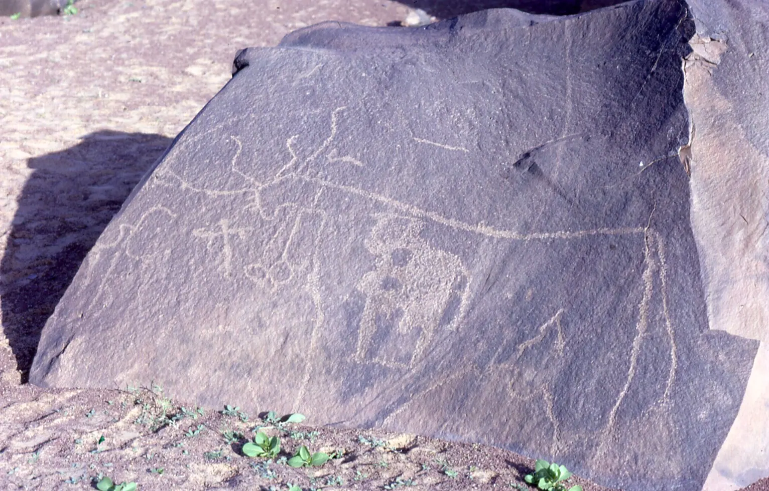 Mauritania