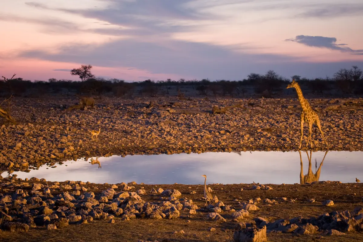 Namibia