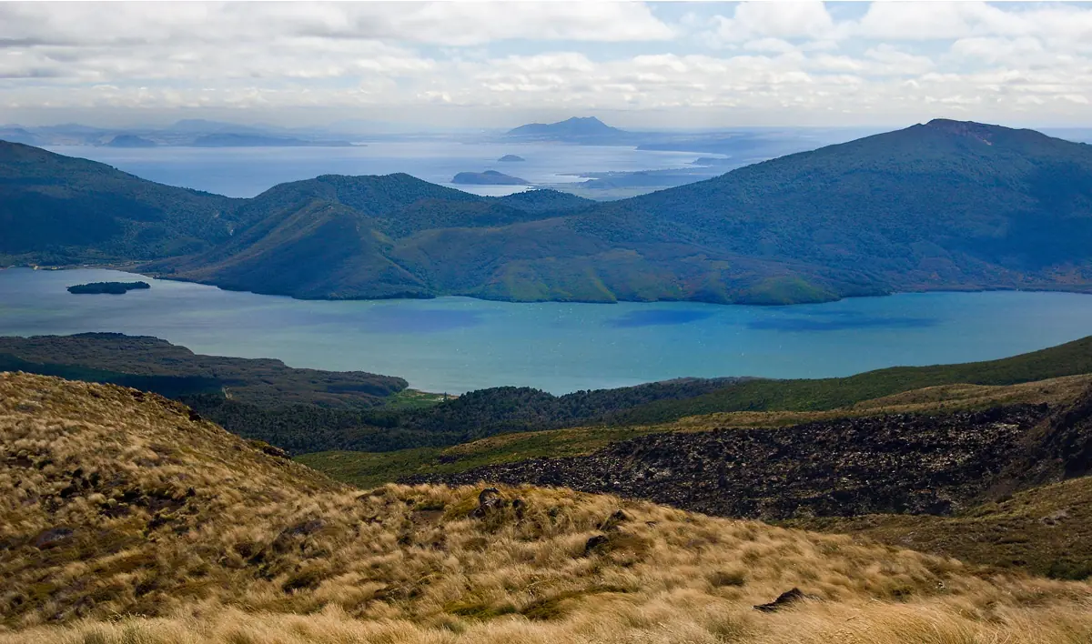 New Zealand