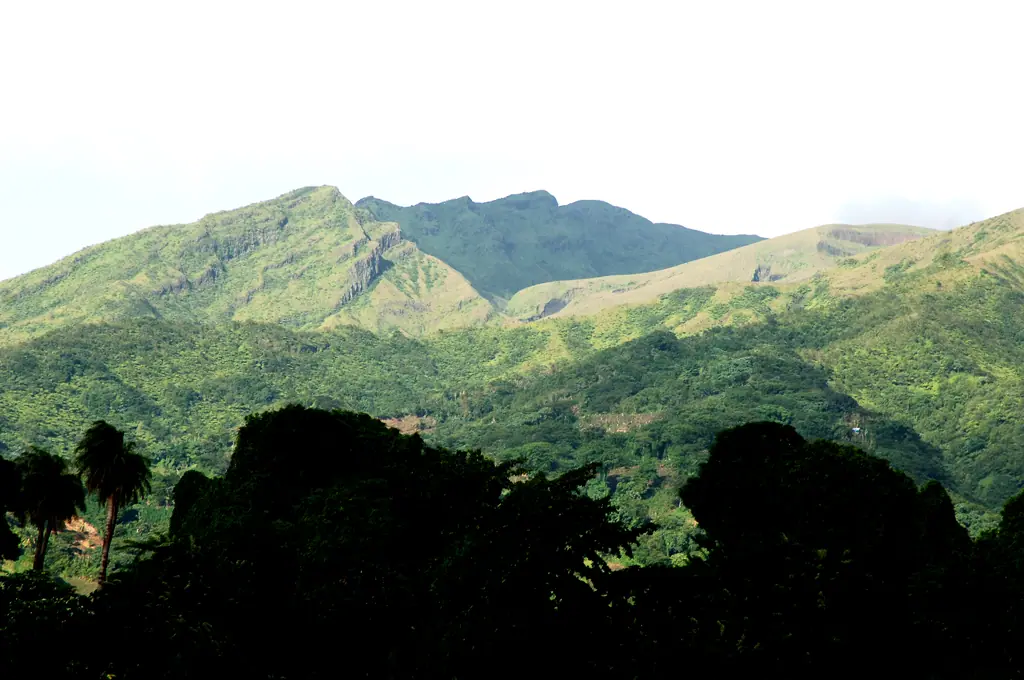 Saint Vincent and the Grenadines
