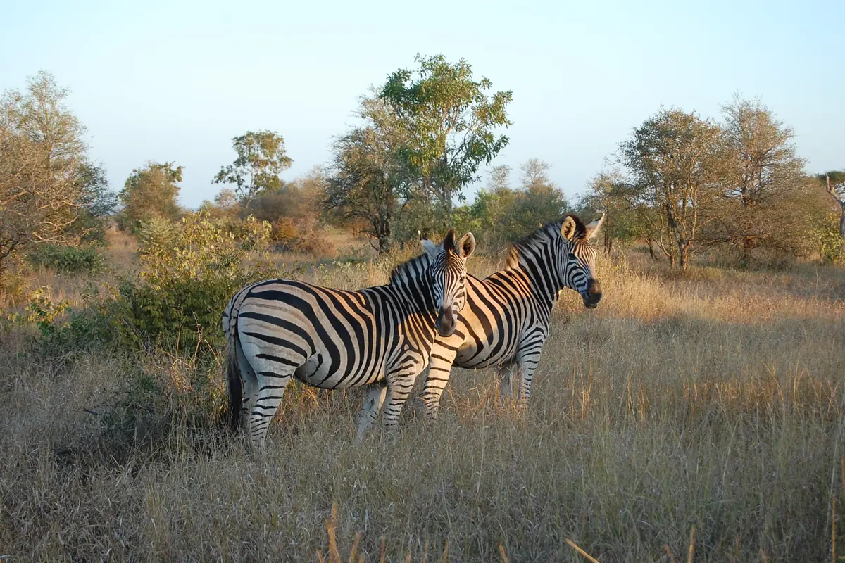 South Africa