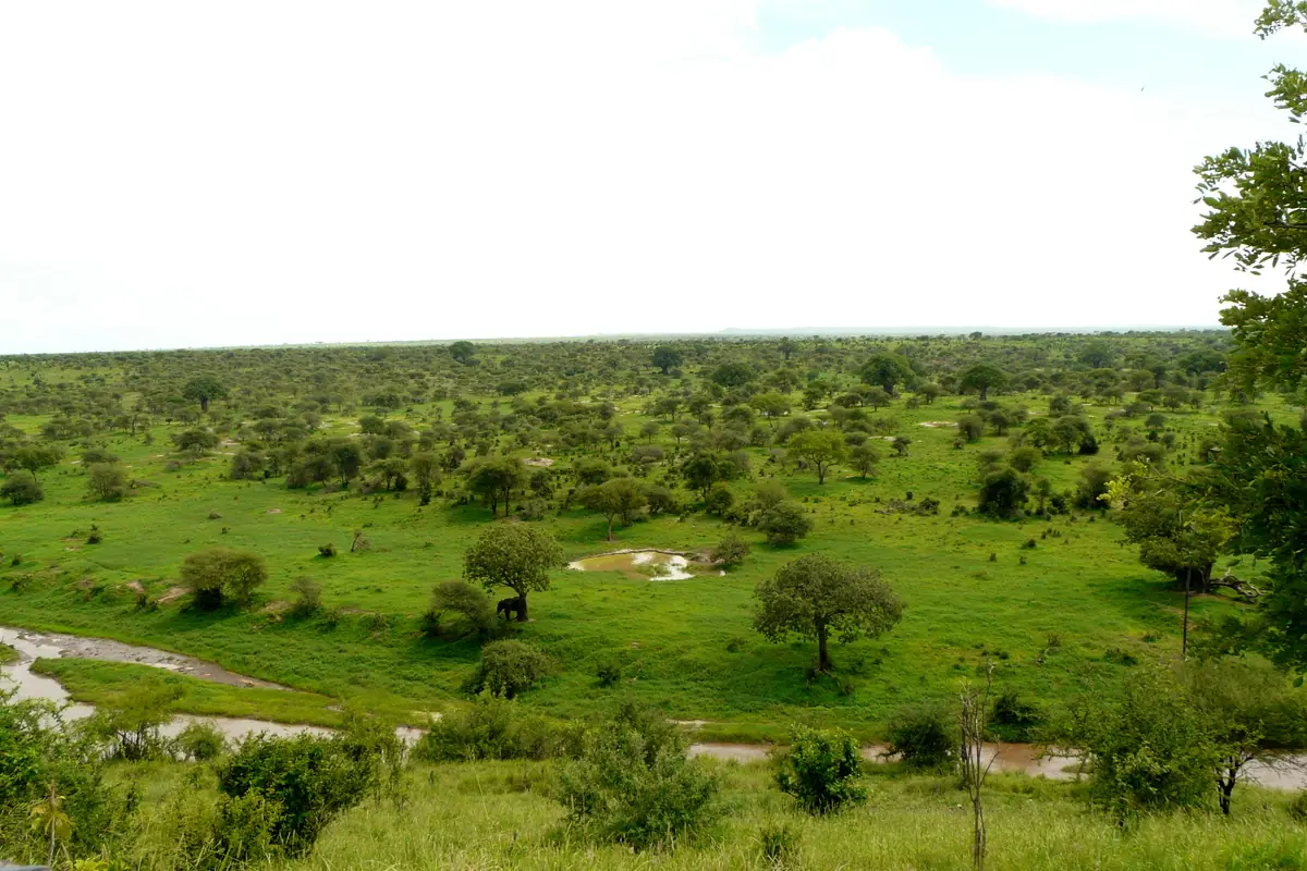 Tanzania