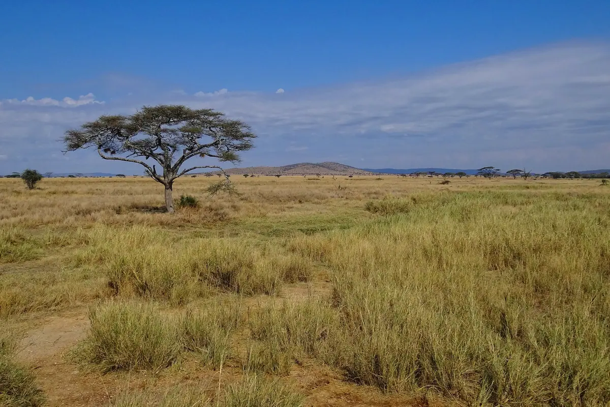 Tanzania
