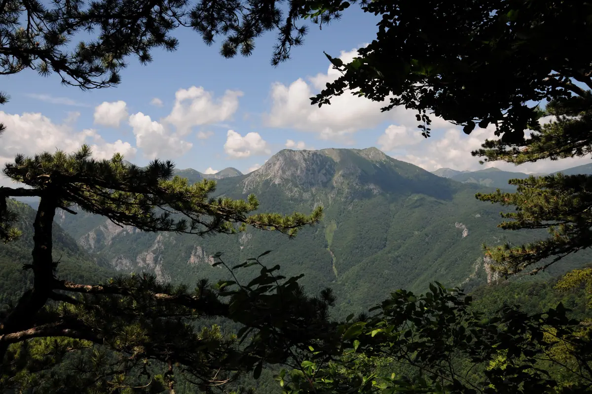 Bosnia and Herzegovina