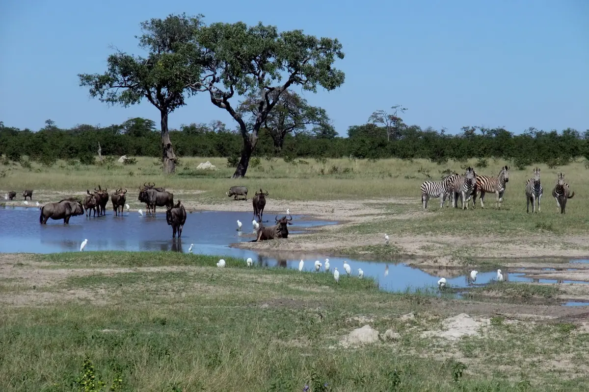 Botswana