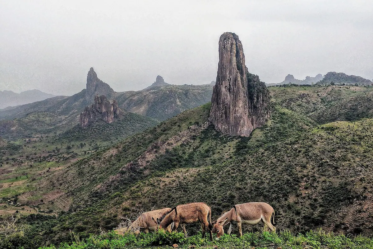 Cameroon