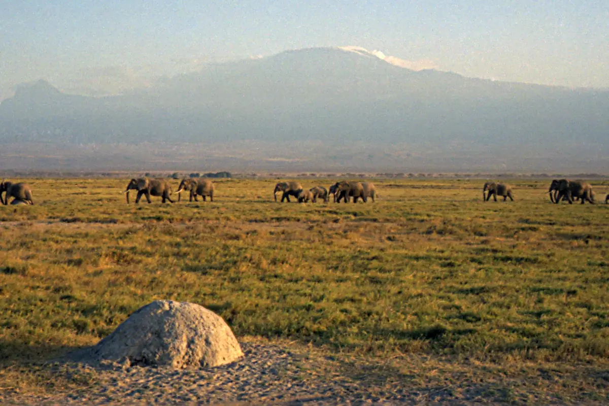 Kenya
