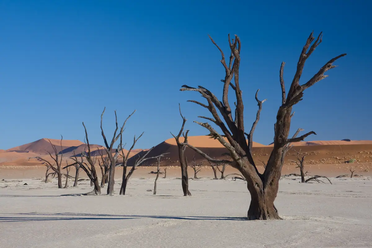 Namibia