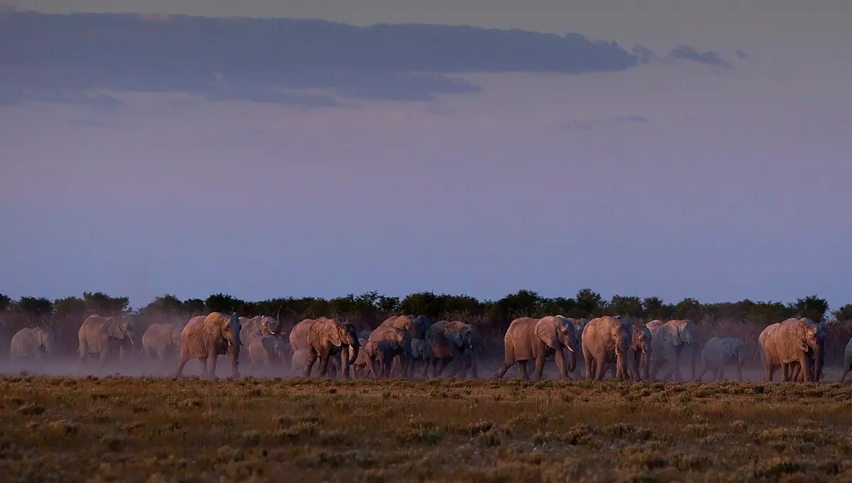 Namibia