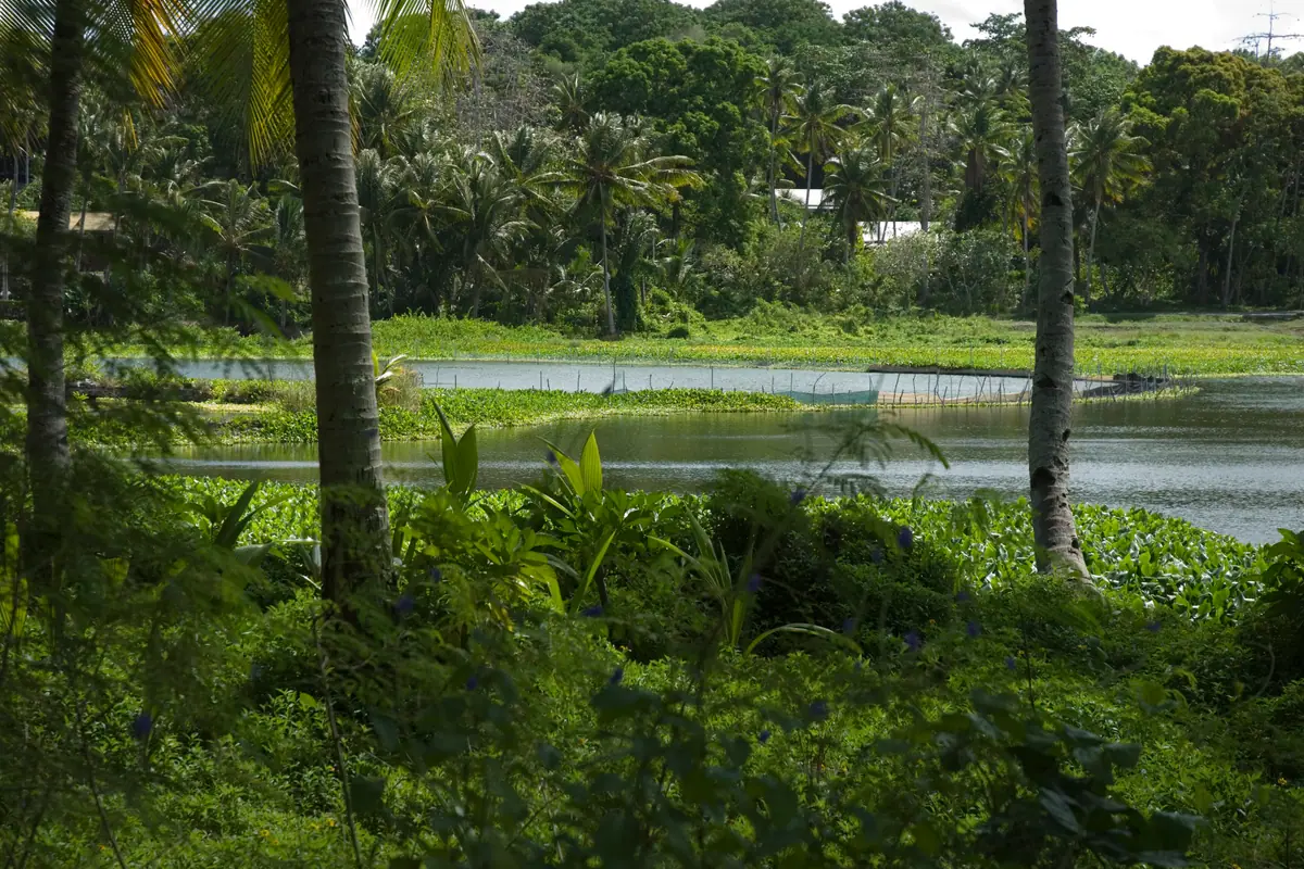 Nauru