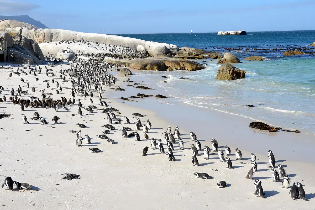 South Africa