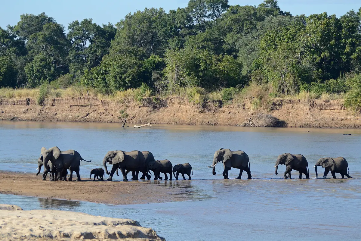 Zambia