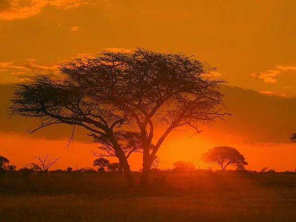 Zimbabwe