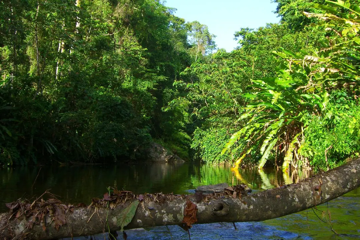 Trinidad and Tobago