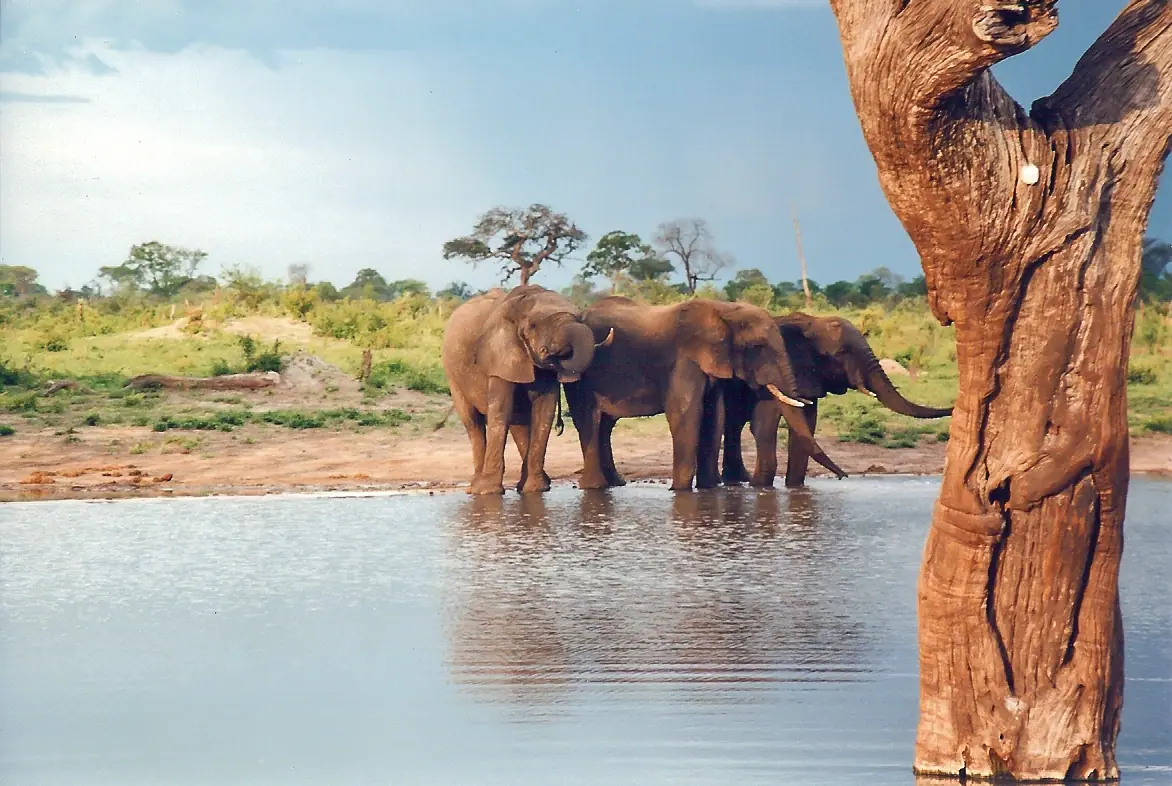 Zimbabwe